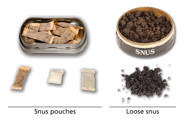 Snus pouches and loose snus